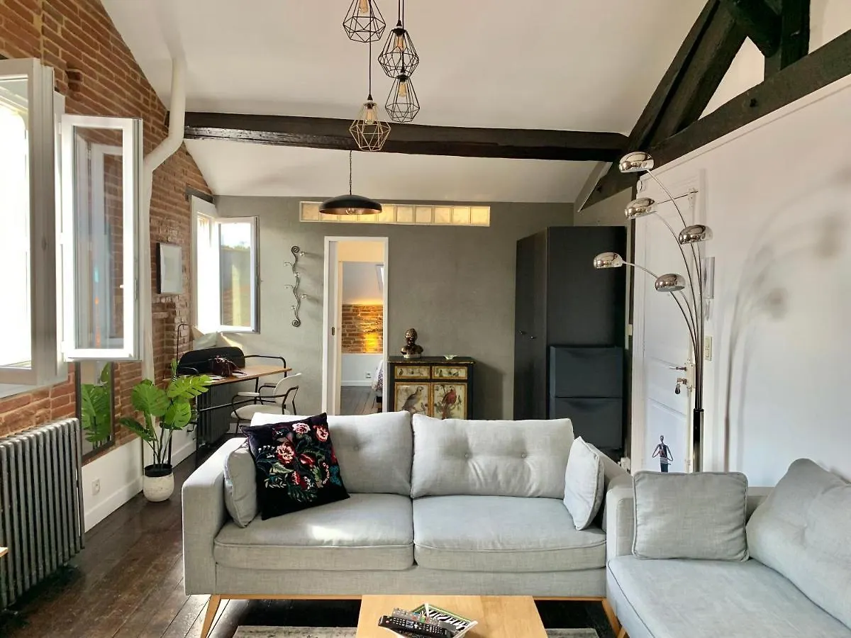 Rue De La Colombette : Charmant T2 Renove Apartment Toulouse